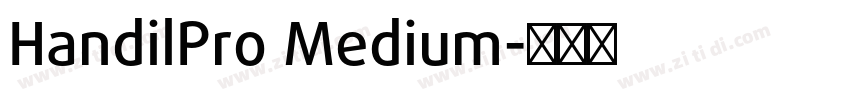 HandilPro Medium字体转换